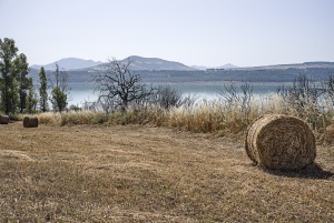 Lago artificiale di Montecotugno
